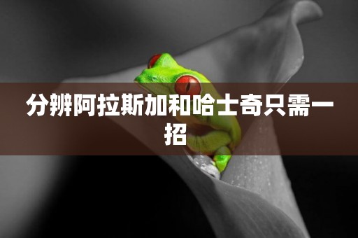 分辨阿拉斯加和哈士奇只需一招 