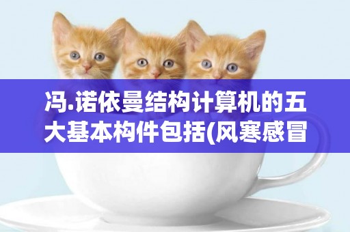 馮.諾依曼結構計算機的五大基本構件包括(風寒感冒藥五大常用藥) 