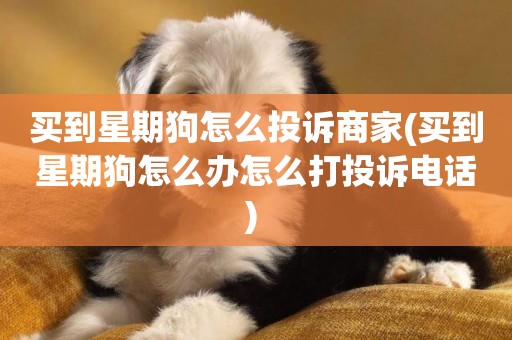 買到星期狗怎么投訴商家(買到星期狗怎么辦怎么打投訴電話) 