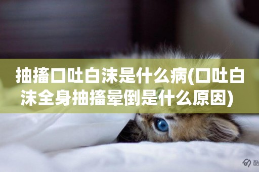 抽搐口吐白沫是什么病(口吐白沫全身抽搐暈倒是什么原因) 