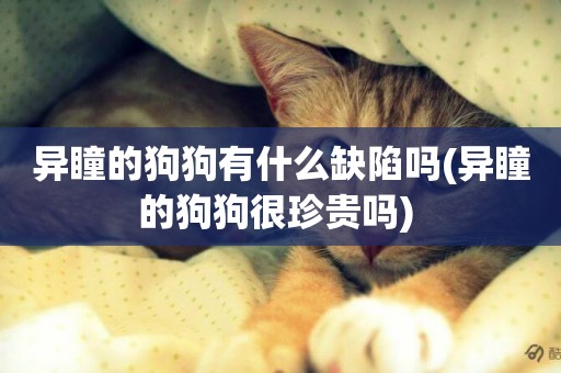 異瞳的狗狗有什么缺陷嗎(異瞳的狗狗很珍貴嗎) 