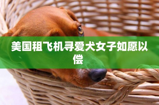 美國租飛機尋愛犬女子如愿以償 