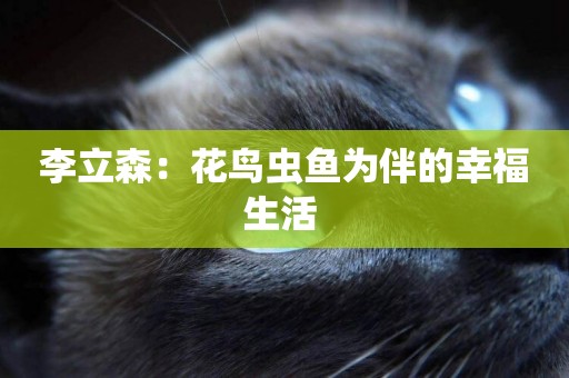 李立森：花鳥蟲魚為伴的幸福生活 