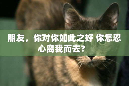 朋友，你對你如此之好 你怎忍心離我而去？ 