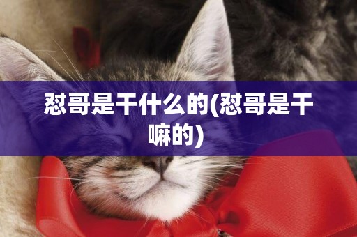 懟哥是干什么的(懟哥是干嘛的) 