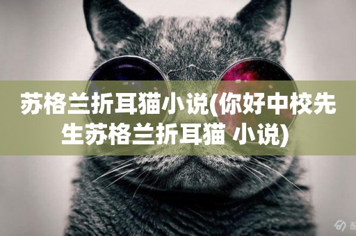 蘇格蘭折耳貓小說(你好中校先生蘇格蘭折耳貓 小說) 
