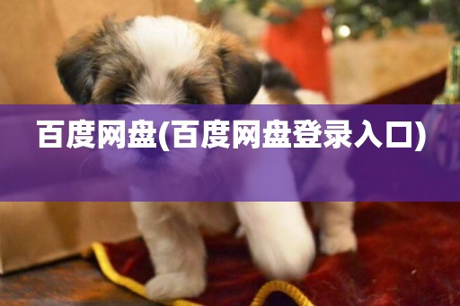 百度網盤(百度網盤登錄入口) 