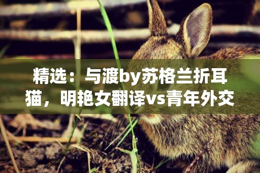 精選：與渡by蘇格蘭折耳貓，明艷女翻譯vs青年外交官，溫馨日常風 