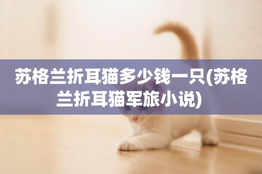 蘇格蘭折耳貓多少錢一只(蘇格蘭折耳貓軍旅小說) 