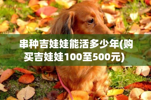 串種吉娃娃能活多少年(購買吉娃娃100至500元) 