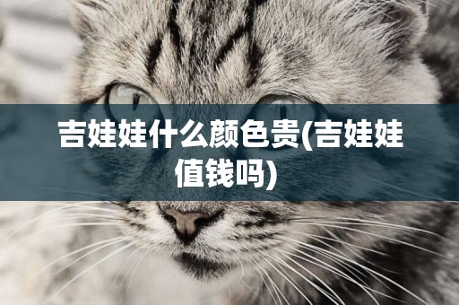 吉娃娃什么顏色貴(吉娃娃值錢嗎) 
