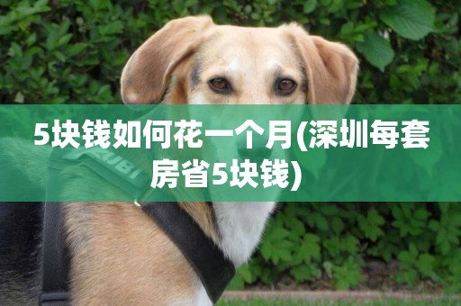 5塊錢如何花一個月(深圳每套房省5塊錢) 