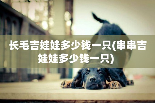 長毛吉娃娃多少錢一只(串串吉娃娃多少錢一只) 