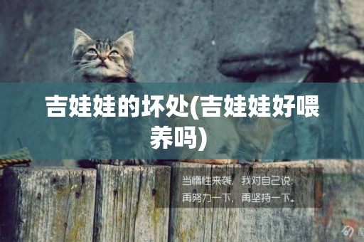吉娃娃的壞處(吉娃娃好喂養嗎) 