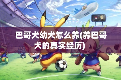 巴哥犬幼犬怎么養(養巴哥犬的真實經歷) 