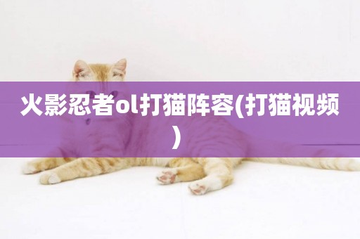 火影忍者ol打貓陣容(打貓視頻) 