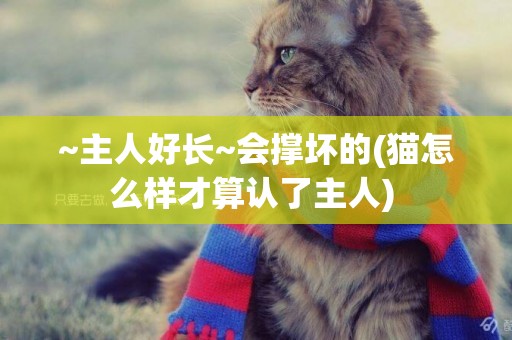 ~主人好長~會撐壞的(貓怎么樣才算認了主人) 