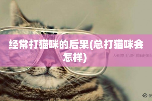 經常打貓咪的后果(總打貓咪會怎樣) 