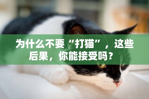 為什么不要“打貓”，這些后果，你能接受嗎？ 