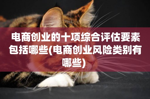 電商創業的十項綜合評估要素包括哪些(電商創業風險類別有哪些) 