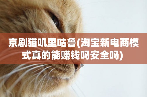 京劇貓嘰里咕魯(淘寶新電商模式真的能賺錢嗎安全嗎) 
