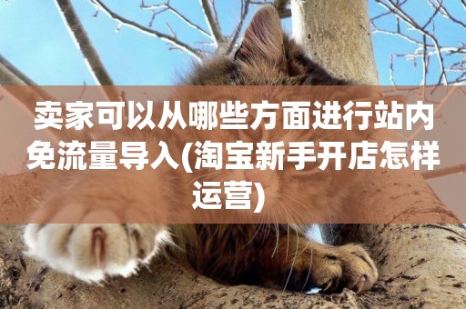 賣家可以從哪些方面進行站內免流量導入(淘寶新手開店怎樣運營) 
