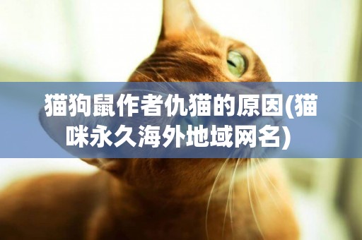貓狗鼠作者仇貓的原因(貓咪永久海外地域網名) 