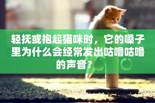 輕撫或抱起貓咪時，它的嗓子里為什么會經常發出咕嚕咕嚕的聲音？ 