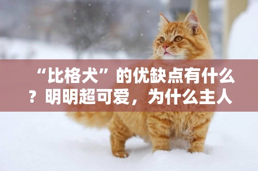 “比格犬”的優缺點有什么？明明超可愛，為什么主人直呼后悔？ 