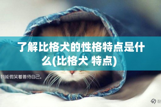 了解比格犬的性格特點是什么(比格犬 特點) 