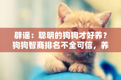 辟謠：聰明的狗狗才好養？狗狗智商排名不全可信，養狗還是看主人 