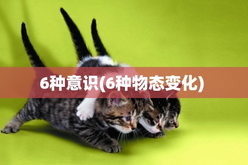 6種意識(6種物態變化) 