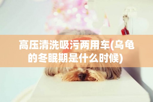 高壓清洗吸污兩用車(烏龜的冬眠期是什么時候) 