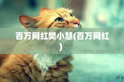 百萬網紅樊小慧(百萬網紅) 