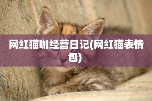 網紅貓咖經營日記(網紅貓表情包) 