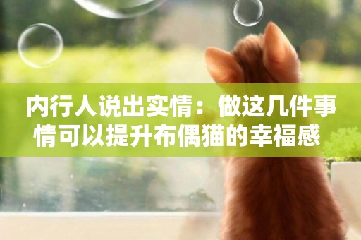 內行人說出實情：做這幾件事情可以提升布偶貓的幸福感 