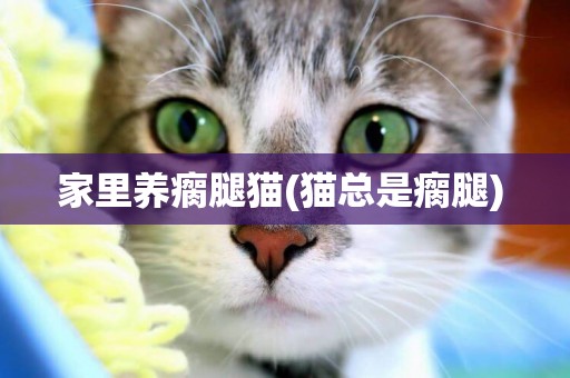 家里養瘸腿貓(貓總是瘸腿) 