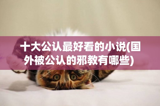 十大公認最好看的小說(國外被公認的邪教有哪些) 
