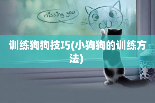 訓練狗狗技巧(小狗狗的訓練方法) 