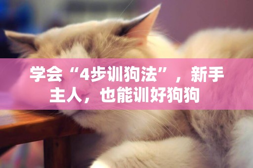 學會“4步訓狗法”，新手主人，也能訓好狗狗 