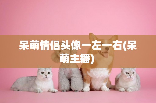 呆萌情侶頭像一左一右(呆萌主播) 