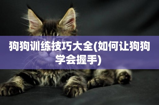 狗狗訓練技巧大全(如何讓狗狗學會握手) 