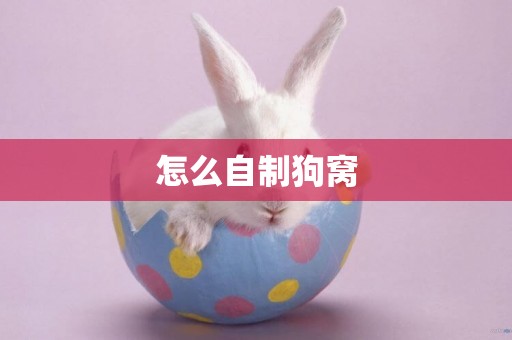 怎么自制狗窩