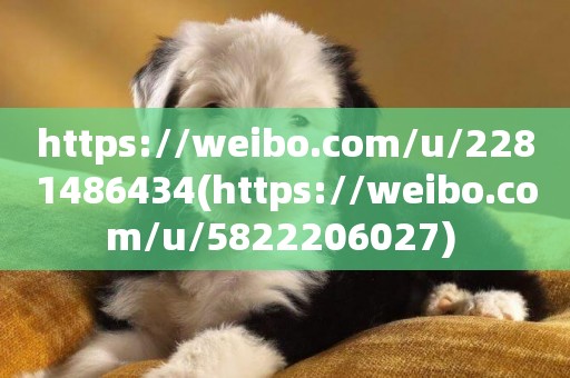 https://weibo.com/u/2281486434(https://weibo.com/u/5822206027) 