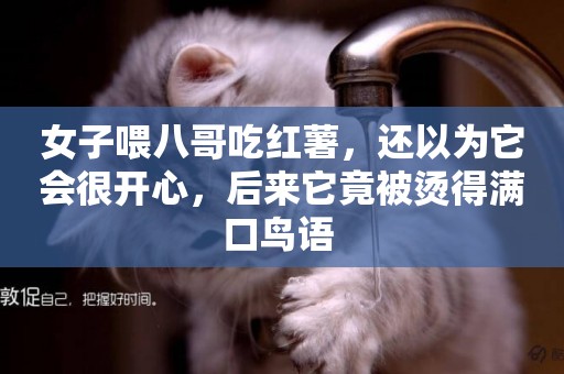 女子喂八哥吃紅薯，還以為它會很開心，后來它竟被燙得滿口鳥語 