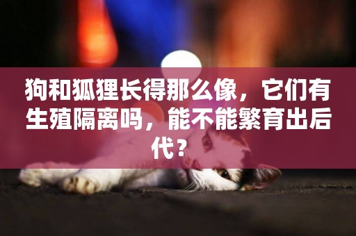 狗和狐貍長得那么像，它們有生殖隔離嗎，能不能繁育出后代？ 