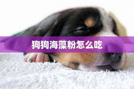 狗狗海藻粉怎么吃
