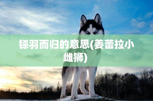 鎩羽而歸的意思(姜蕾拉小雌獅) 