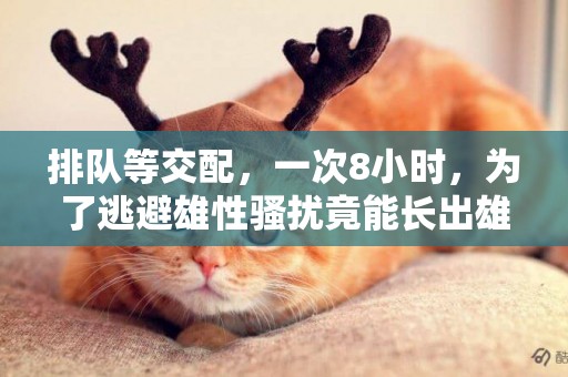 排隊等交配，一次8小時，為了逃避雄性騷擾竟能長出雄性特征 