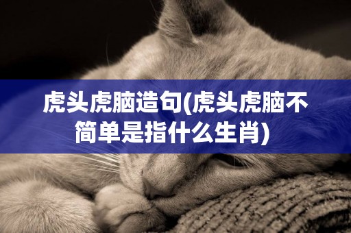 虎頭虎腦造句(虎頭虎腦不簡單是指什么生肖) 